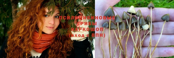 кокс Алзамай