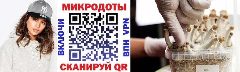 Галлюциногенные грибы Cubensis цены Заинск